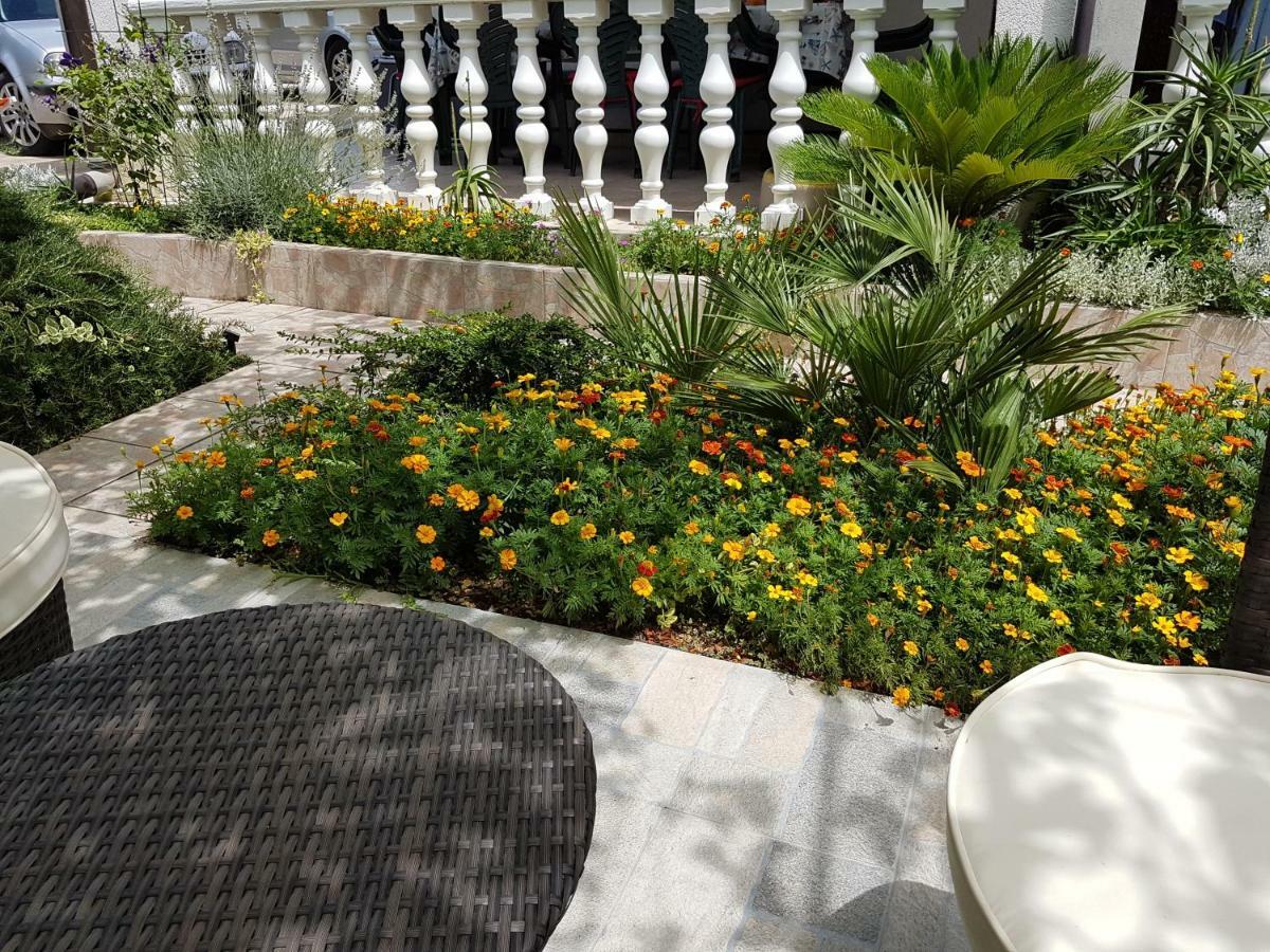 Apartments Vila Leona Пировац Экстерьер фото